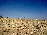 zenphoto/albums/2011/tunisie 2011-05-06/Photo0118.jpg