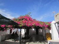 zenphoto/albums/2013/crete/joelle/IMG_0572.jpg