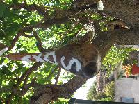 zenphoto/albums/2013/crete/joelle/IMG_0676.jpg