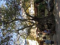 zenphoto/albums/2013/crete/joelle/IMG_0698.jpg