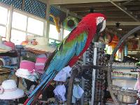 zenphoto/albums/2013/crete/joelle/IMG_0780.jpg