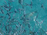 zenphoto/albums/2013/crete/joelle/IMG_0903.jpg