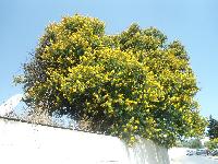 zenphoto/albums/2014/croisiere/tunisie/CROISIERE EXCURSIONS 106.jpg