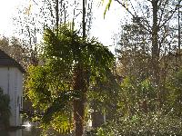 zenphoto/albums/2015/beauval/DSC_0017.jpg