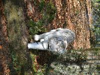 zenphoto/albums/2015/beauval/DSC_0111.jpg