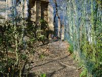 zenphoto/albums/2015/beauval/DSC_0193.jpg