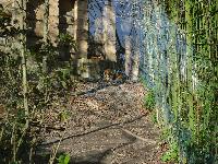 zenphoto/albums/2015/beauval/DSC_0195.jpg