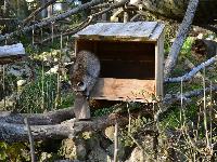 zenphoto/albums/2015/beauval/DSC_0241.jpg