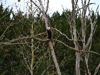zenphoto/albums/2015/beauval/DSC_0324.jpg