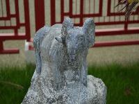 zenphoto/albums/2015/beauval/DSC_0493.jpg