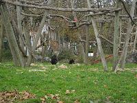 zenphoto/albums/2015/beauval/DSC_0699.jpg