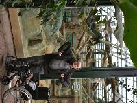 zenphoto/albums/2015/beauval/DSC_0721.jpg