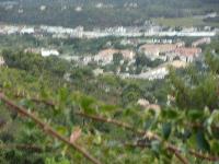 zenphoto/albums/2015/hyeres/13 septembre marché bormes lavandou/drouault0020.jpg