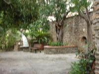 zenphoto/albums/2015/hyeres/13 septembre marché bormes lavandou/drouault0028.jpg