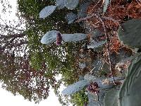 zenphoto/albums/2015/hyeres/13 septembre marché bormes lavandou/julien0020.jpg