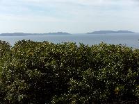 zenphoto/albums/2015/hyeres/15 septembre saint tropez/drouault0054.jpg