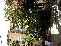 zenphoto/albums/2015/hyeres/15 septembre saint tropez/julien0047.jpg