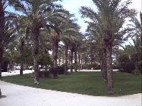 zenphoto/albums/2015/hyeres/17 septembre toulon la rade/motte0139.jpg