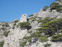zenphoto/albums/2015/hyeres/18 septembre cassis/leclerc0134.jpg