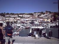 zenphoto/albums/2015/hyeres/18 septembre cassis/motte0142.jpg