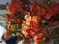 zenphoto/albums/2018/sicile/Divers et insolites/20180506_145055.jpg