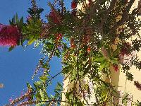 zenphoto/albums/2018/sicile/Divers et insolites/20180509_152203.jpg