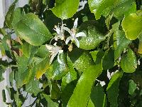 zenphoto/albums/2018/sicile/Divers et insolites/20180509_155823.jpg