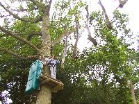 zenphoto/albums/2003-a-2010/2004/acrobranche 2004/accrobranche (11).jpg