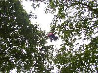 zenphoto/albums/2003-a-2010/2004/acrobranche 2004/accrobranche (13).jpg