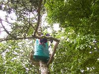 zenphoto/albums/2003-a-2010/2004/acrobranche 2004/accrobranche (17).jpg