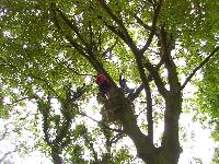 zenphoto/albums/2003-a-2010/2004/acrobranche 2004/accrobranche (19).jpg