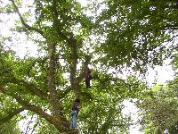 zenphoto/albums/2003-a-2010/2004/acrobranche 2004/accrobranche (20).jpg