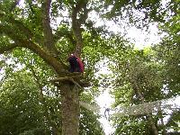 zenphoto/albums/2003-a-2010/2004/acrobranche 2004/accrobranche (23).jpg