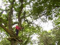 zenphoto/albums/2003-a-2010/2004/acrobranche 2004/accrobranche (25).jpg