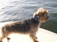 zenphoto/albums/2003-a-2010/2004/aout 2004/aout 2004 044.jpg