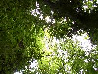 zenphoto/albums/2003-a-2010/2004/colmar 2004/comar 2004 006.jpg