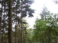 zenphoto/albums/2003-a-2010/2004/colmar 2004/comar 2004 034.jpg