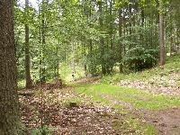 zenphoto/albums/2003-a-2010/2004/colmar 2004/comar 2004 036.jpg