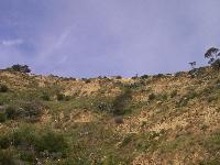 zenphoto/albums/2003-a-2010/2005/tunisie/paris 007.jpg