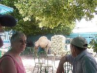 zenphoto/albums/2003-a-2010/2005/tunisie/paris 025.jpg
