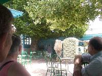 zenphoto/albums/2003-a-2010/2005/tunisie/paris 026.jpg