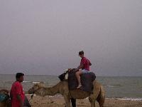zenphoto/albums/2003-a-2010/2005/tunisie/paris 034.jpg