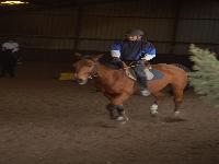 zenphoto/albums/2003-a-2010/2008/cheval/Photo 027.jpg