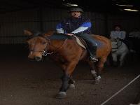 zenphoto/albums/2003-a-2010/2008/cheval/Photo 043.jpg