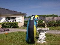 zenphoto/albums/2003-a-2010/2010/bouée/Photo0078.jpg