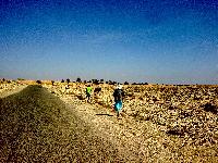 zenphoto/albums/2011/tunisie 2011-05-06/Photo0116.jpg