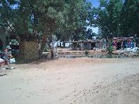 zenphoto/albums/2011/tunisie 2011-05-06/Photo0133.jpg