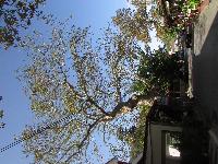 zenphoto/albums/2013/crete/joelle/IMG_0651.jpg