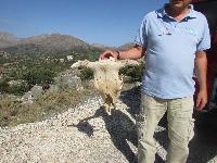 zenphoto/albums/2013/crete/joelle/IMG_0655.jpg