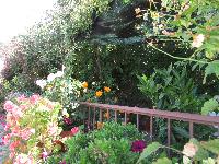 zenphoto/albums/2013/crete/joelle/IMG_0659.jpg